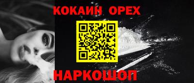 стафф Дубна